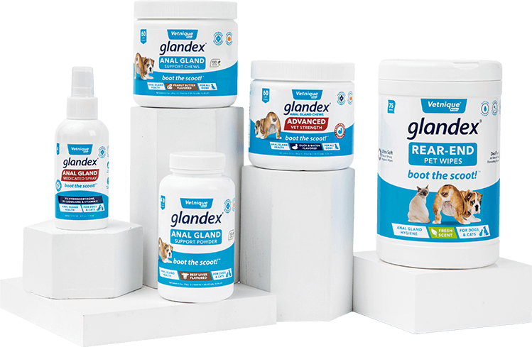 GLANDEX® Anal Gland Support Supplement for Dogs & Cats