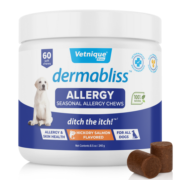 Dermablissโข Seasonal Allergy & Immune Soft Chews for Dogs