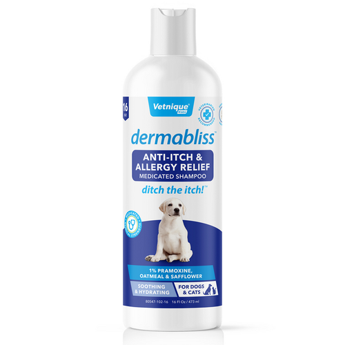 Dermablissโข Anti-Itch & Allergy Relief Shampoo