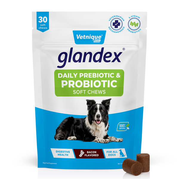 Glandex® Daily Prebiotic & Probiotic Soft Chews & Powder