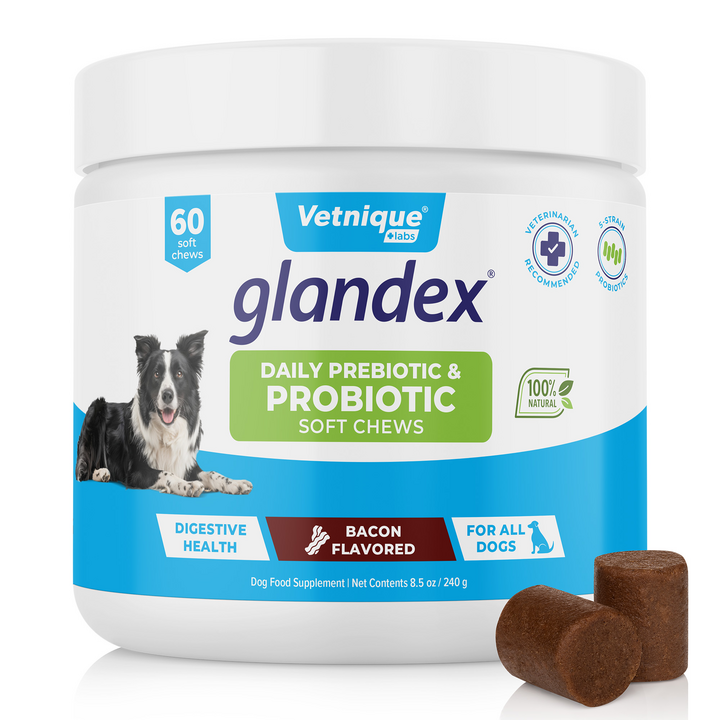 Diarrhea Relief For Dogs Vetinque Labs Glandex Anal Gland Soft