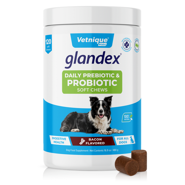 Glandex® Daily Prebiotic & Probiotic Soft Chews & Powder
