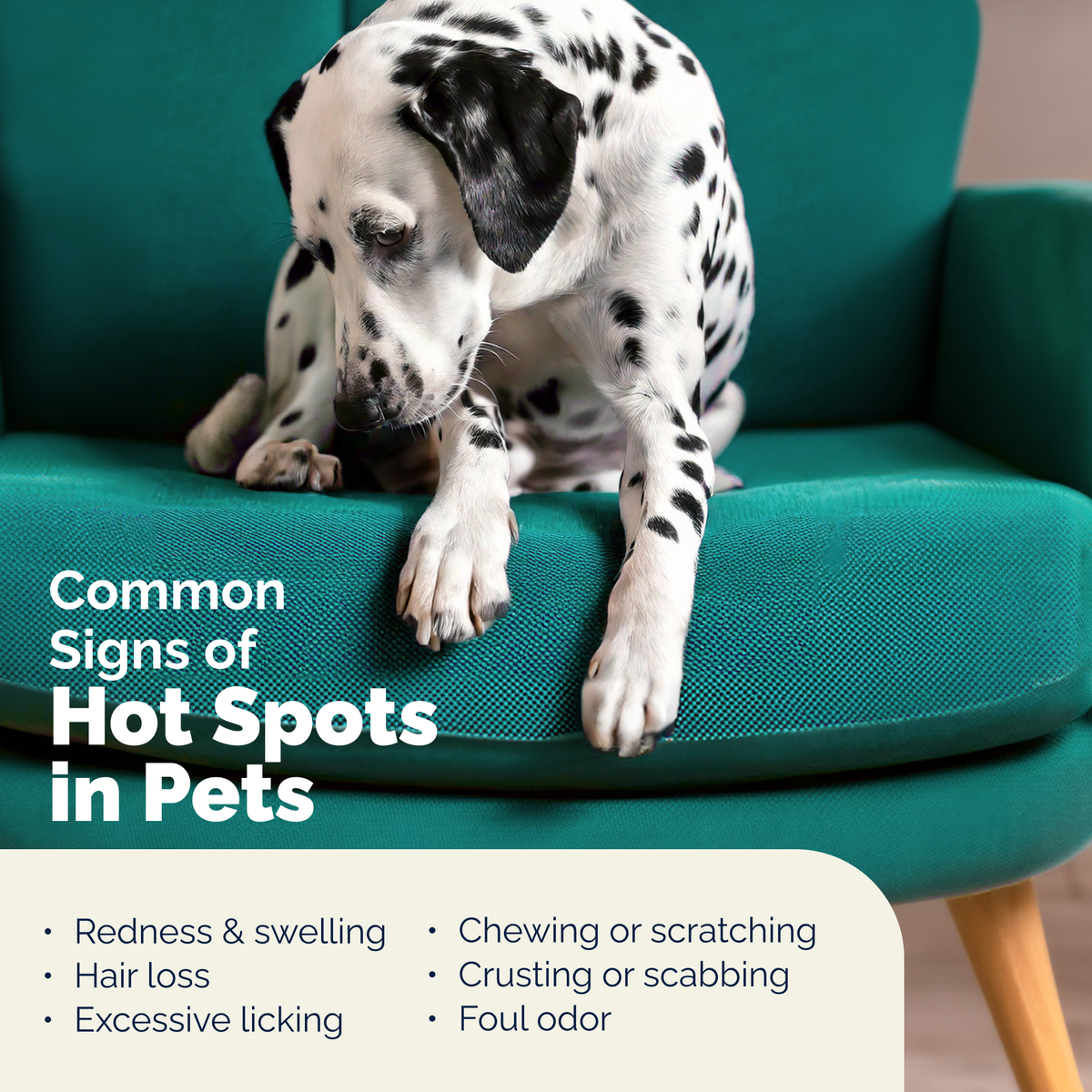 Dermabliss® Hot Spot Medicated Spray - 8oz