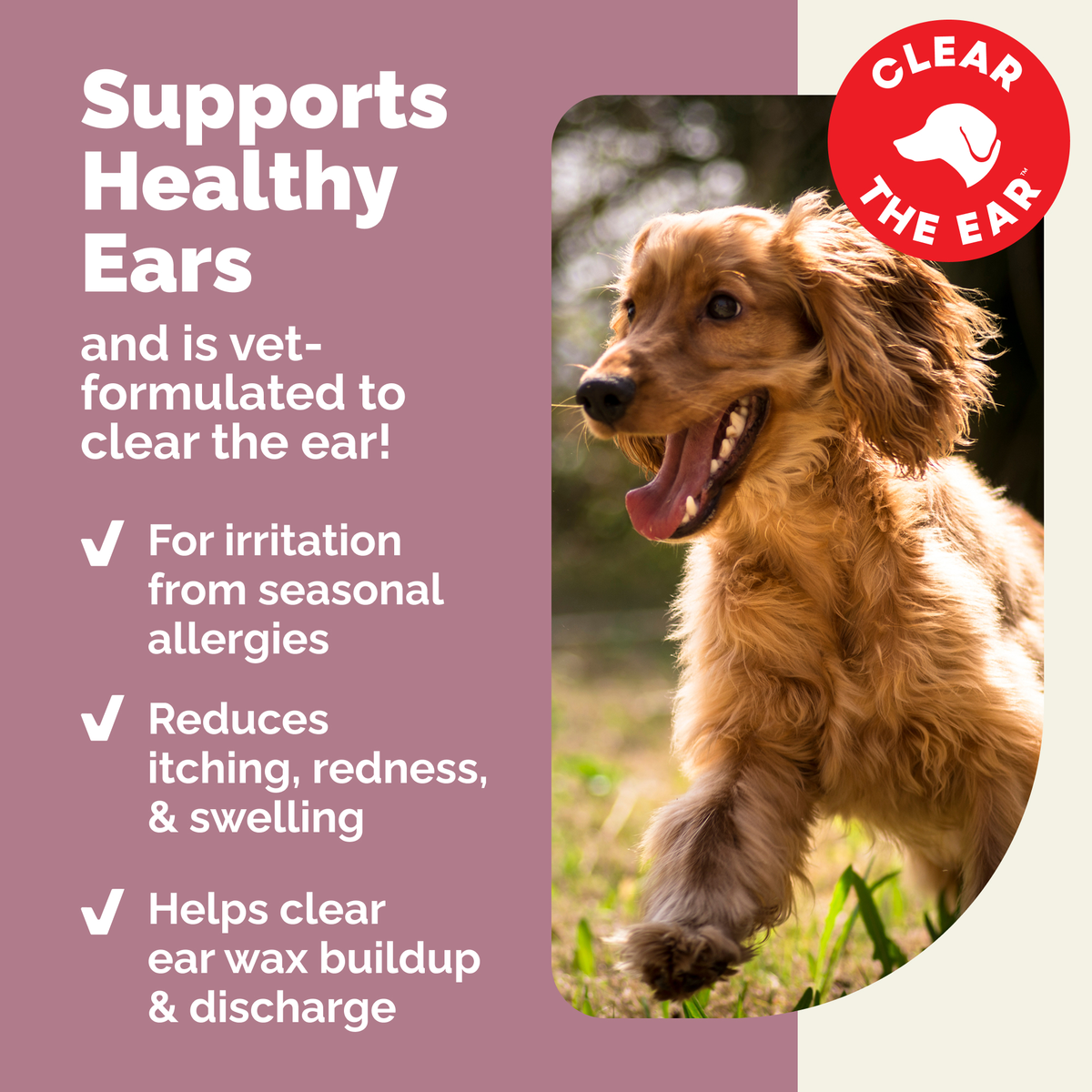 OticBliss™ Advanced Vet Strength Allergy Ear Drops for Dogs and Cats