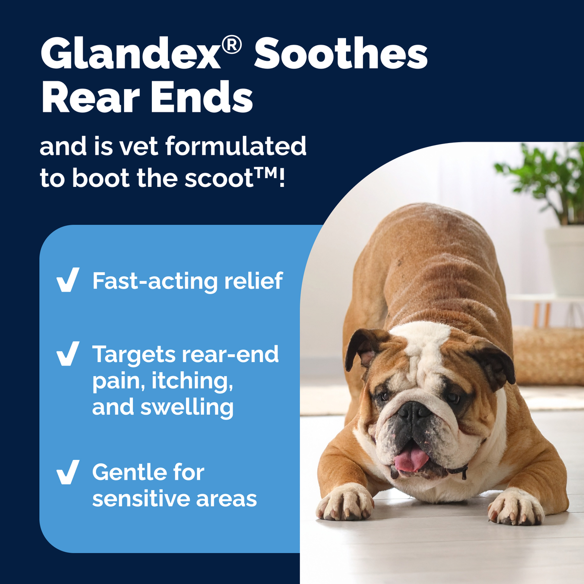 Glandex® Advanced Vet Strength  Anal Gland Spray or Wipes