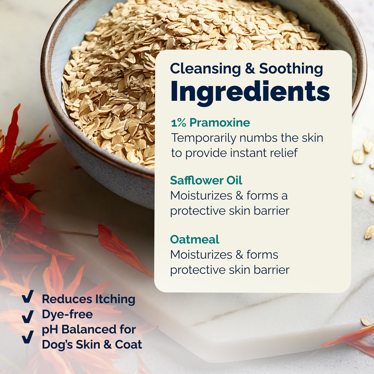 DermaBliss™ Anti-Itch & Allergy Relief Shampoo