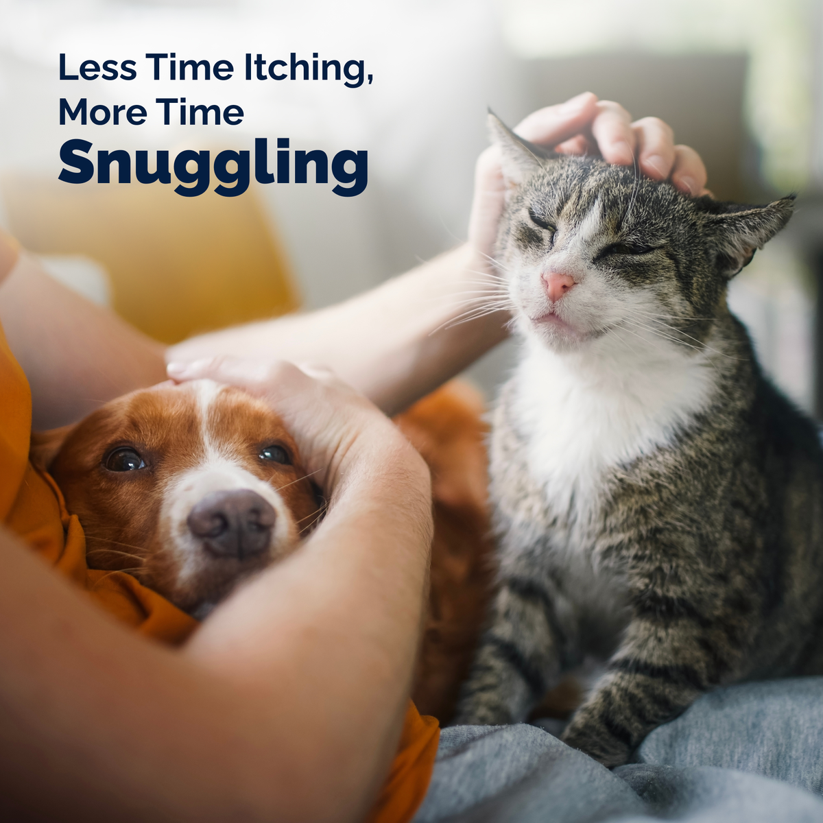 DermaBliss™ Anti-Itch & Allergy Relief Shampoo