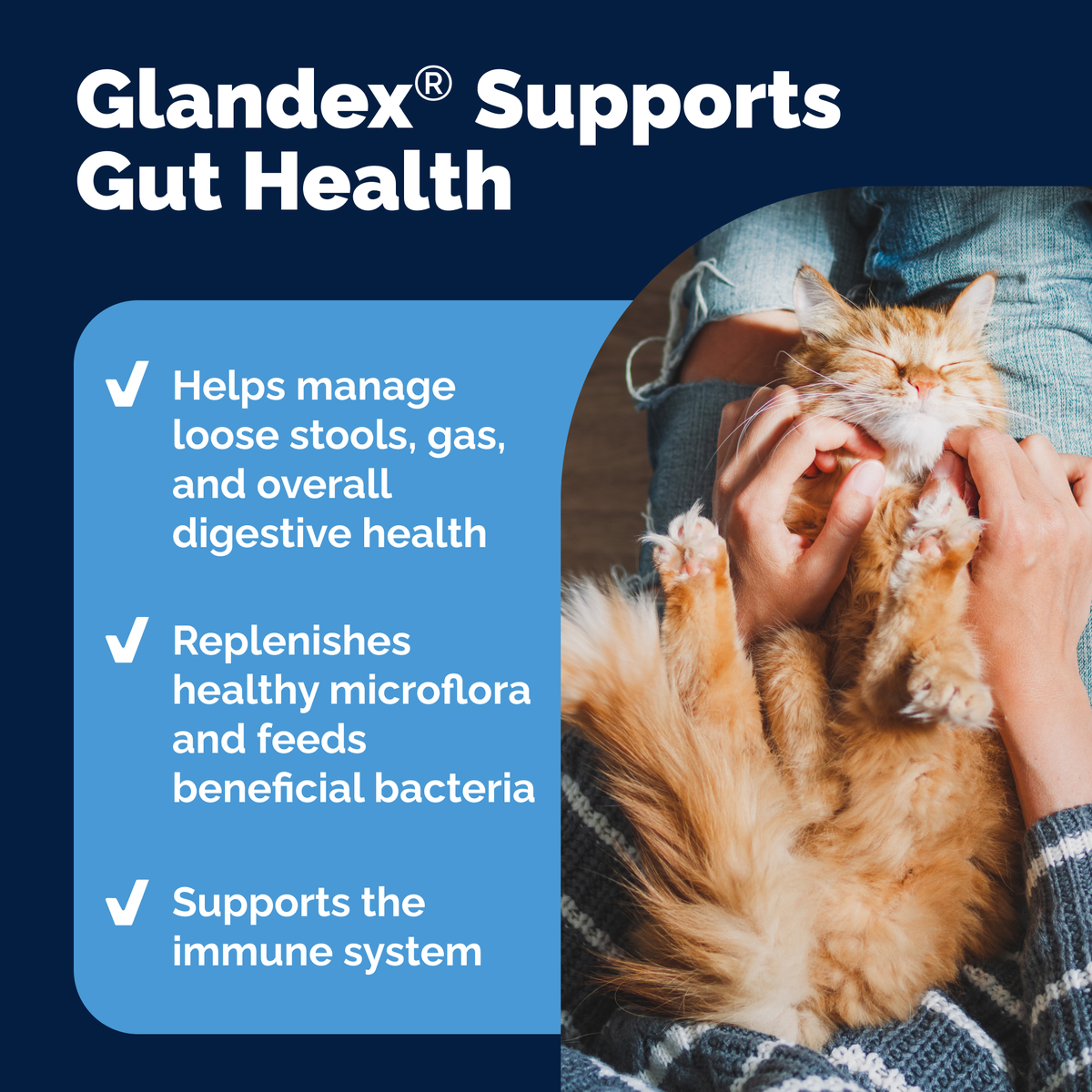 Glandex Daily Prebiotic & Probiotic Powder for Cats