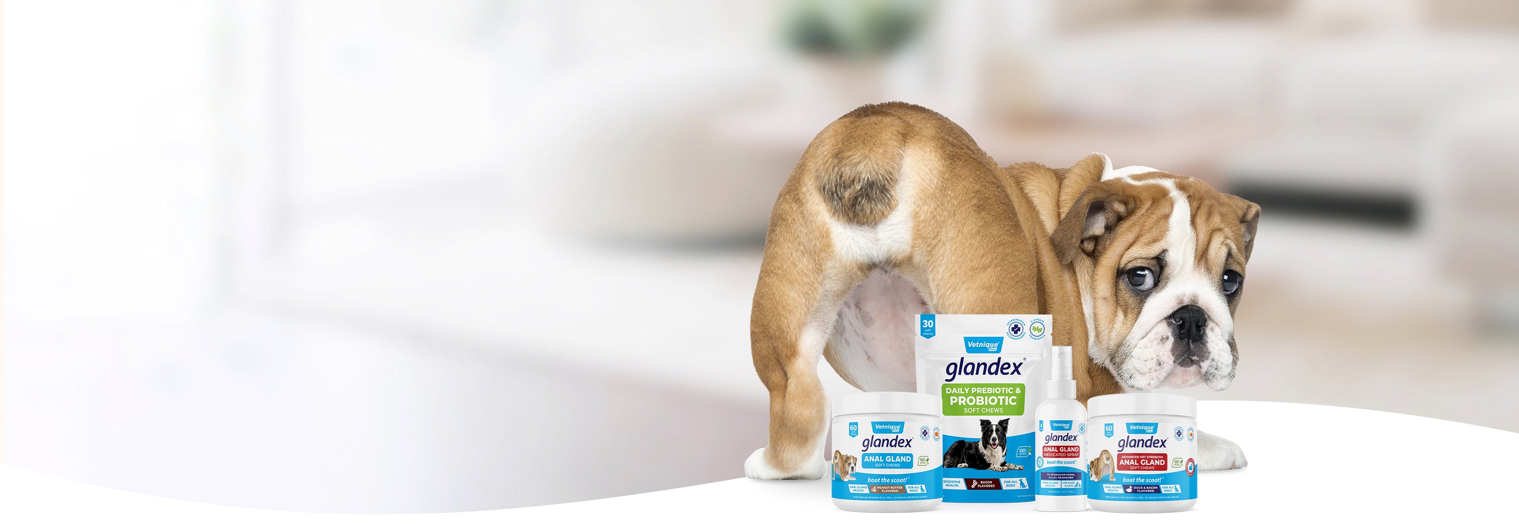 Get the #1 Vet-recommended Brand for your Dog’s Digestive Health