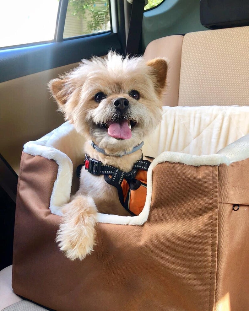 Small dog sitting in a brown pet bed inside the car