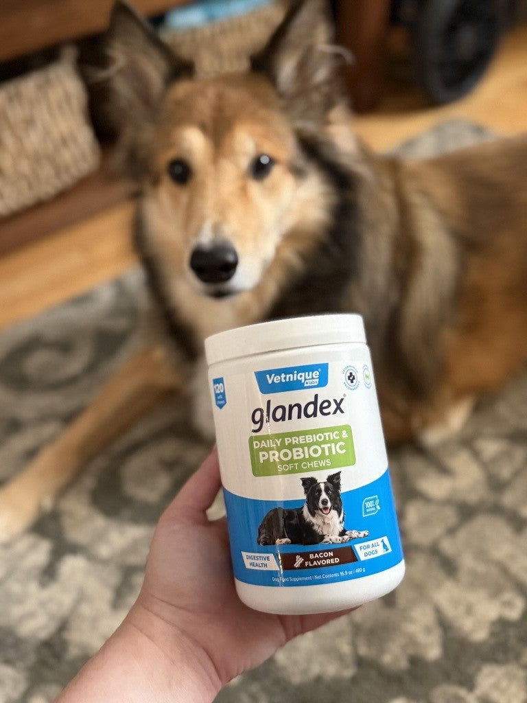 Hand holding a Glandex product with a dog looking in the background