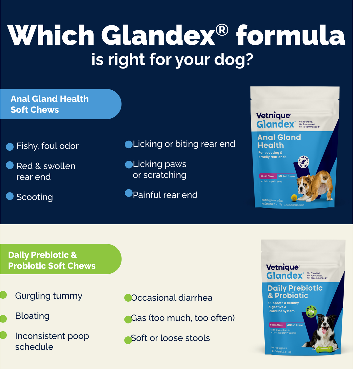 Glandex® Daily Prebiotic & Probiotic Soft Chews & Powder