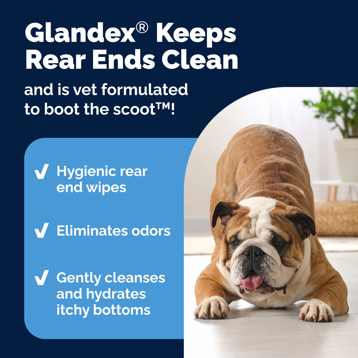 Glandex® Rear-End Hygiene Wipes for Dogs & Cats
