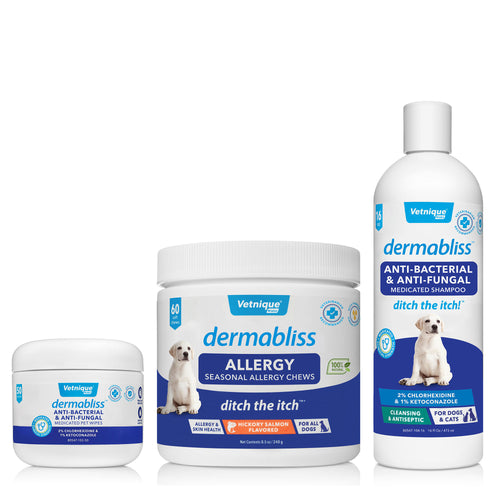 Dermablissโข Seasonal Allergy Bundle - Save 15%!