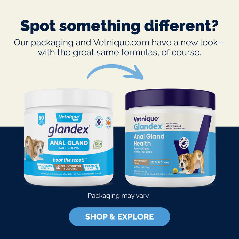 Vetnique Packaging Update — Same Trusted Formulas, New Look