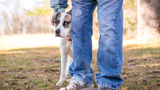Anxious Dog: Signs, Causes, and How Pet Parents Can Help