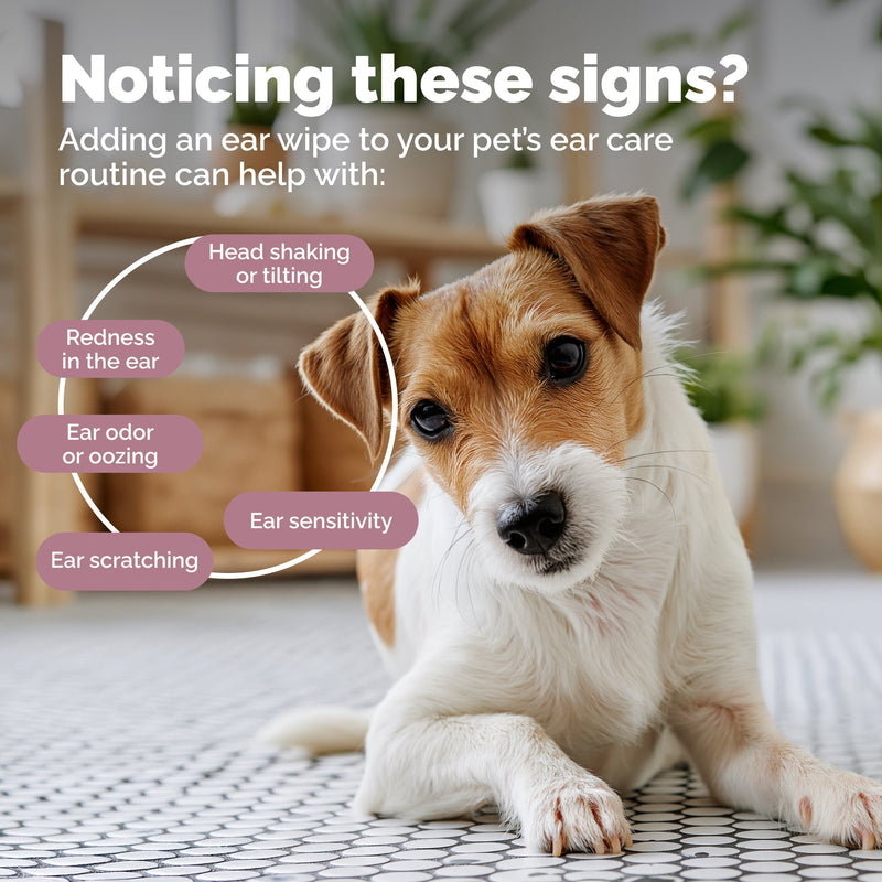 The Ultimate Guide to Dog Ear Cleaning