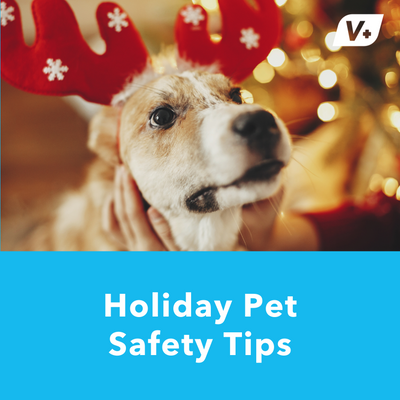 Holiday Pet Safety Tips