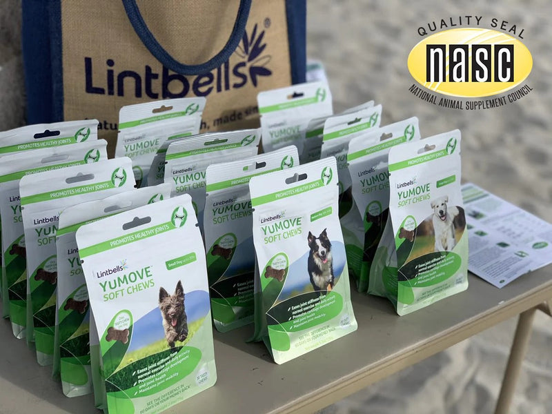 What Is the NASC Quality Seal and Why Does It Matter?