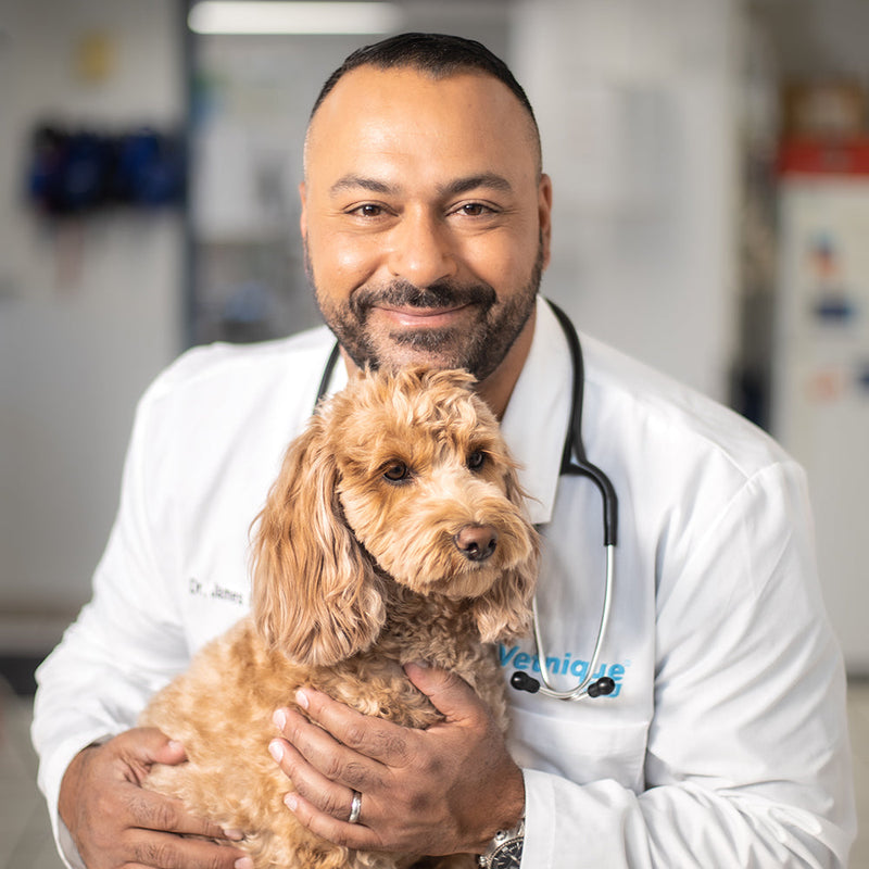 Meet the Vetnique Vet Advisory Board