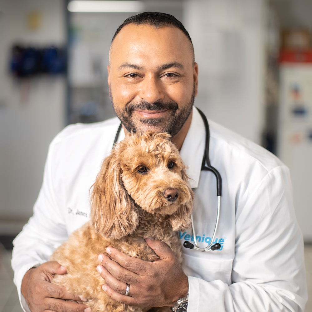 Meet the Vetnique Vet Advisory Board