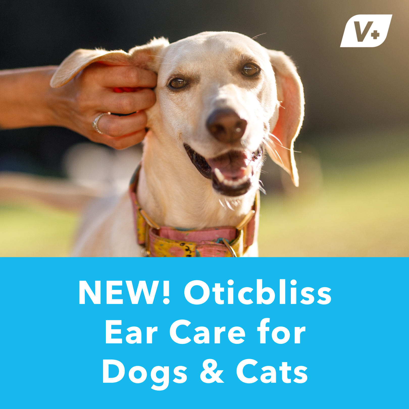 NEW! Oticbliss™ Ear Care for Dogs & Cats