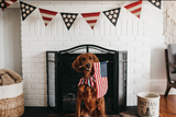 4th of July Safety Tips for Dogs: Firework Anxiety and Pet Safety
