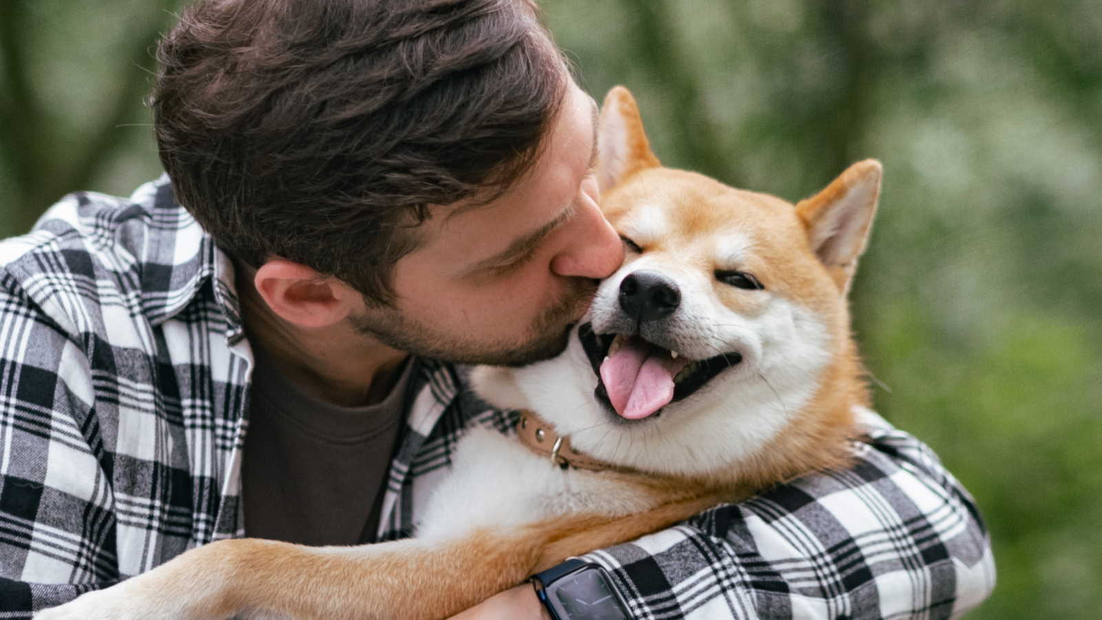 Shiba Inu: History, Temperament, Health & Care Guide