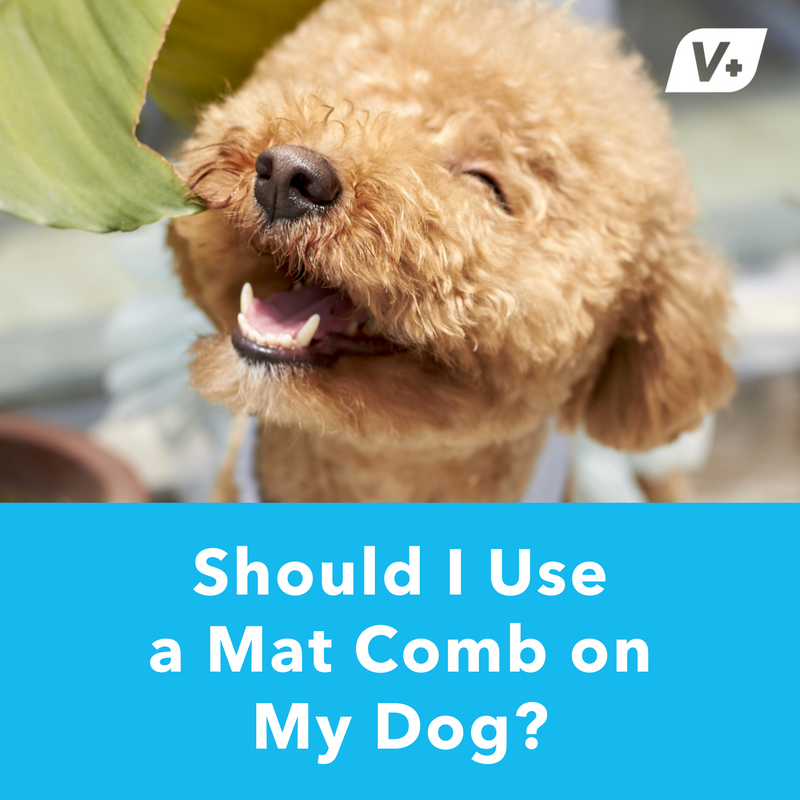 Should I use a mat comb on my dog?