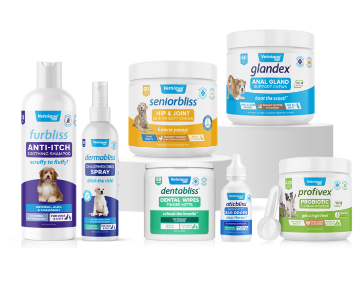  All Pet Health & Wellness Products For Dogs & Cats 