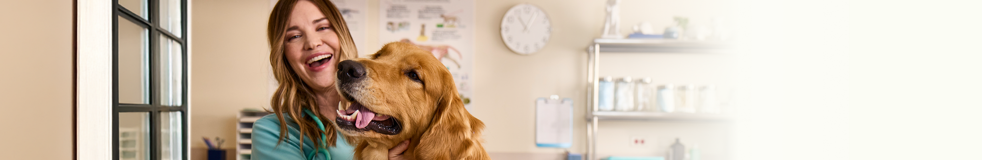 Dr. Hillary Wolfe with golden retriever in vet office