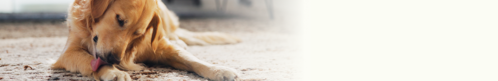 Dermabliss Seasonal Allergy & Skin Support