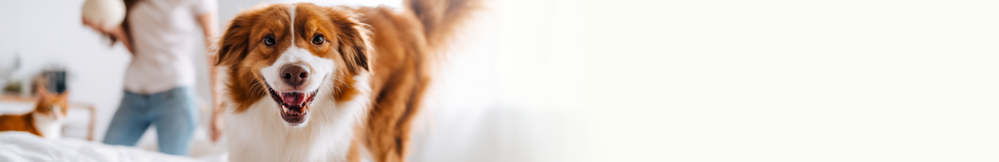 New Pet Health Products for Dogs & Cats