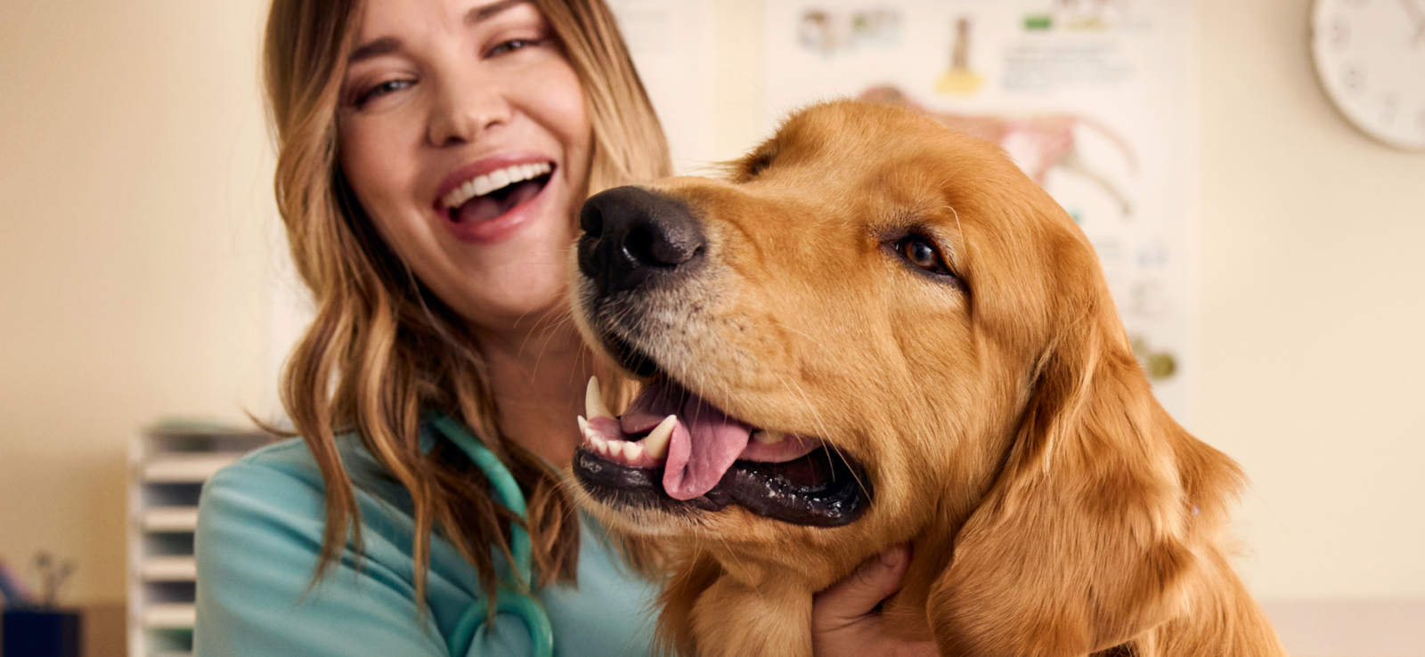 Vetnique Labs supplements for dogs and cats