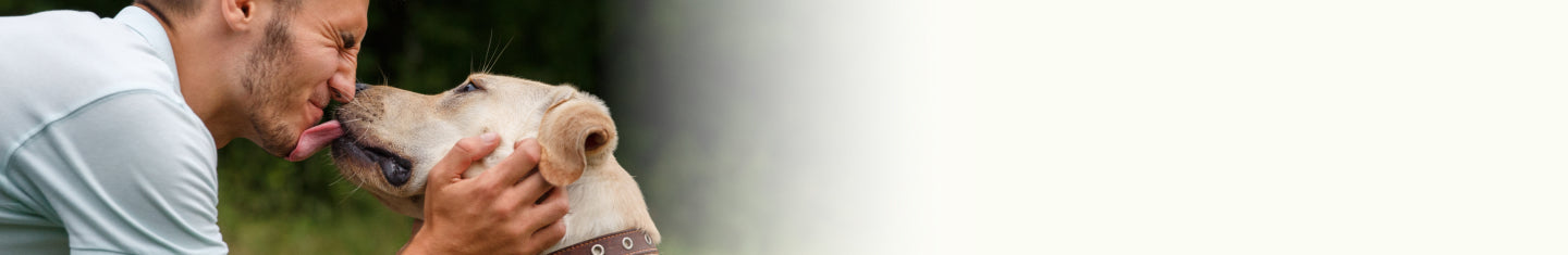 Dog licking a man's face