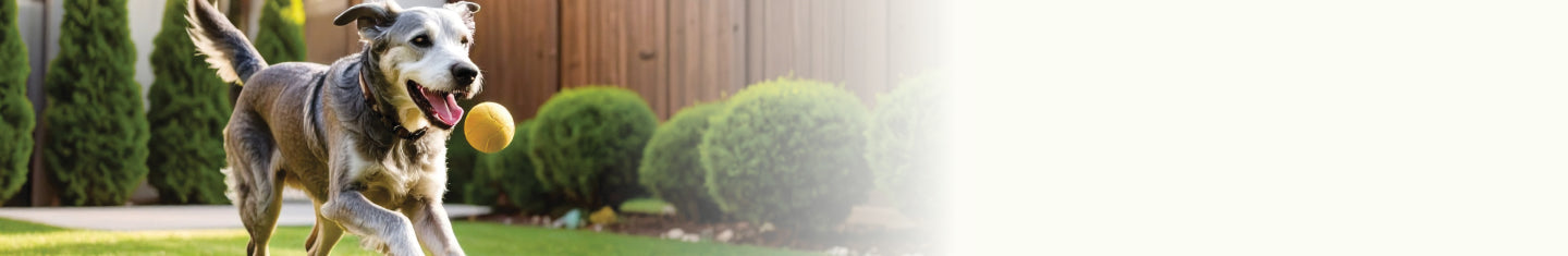 YuMOVE Hip and Joint Support Supplements for Dogs