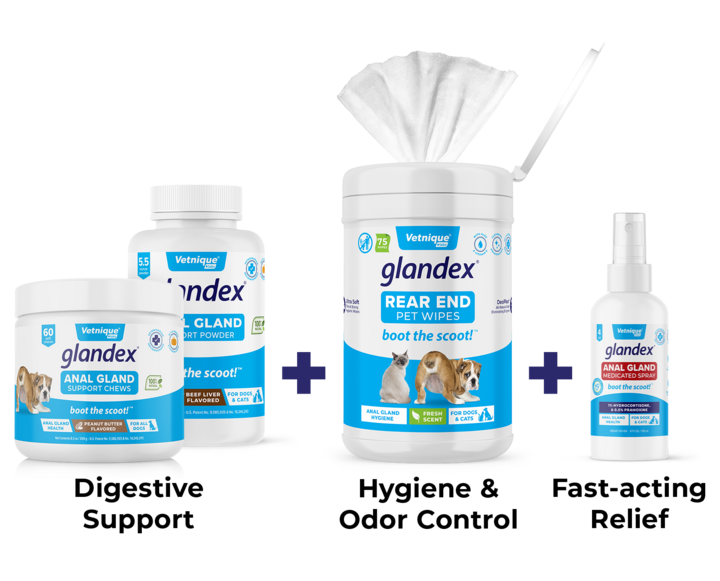  Glandex Complete Digestive & Anal Gland Support Bundles 