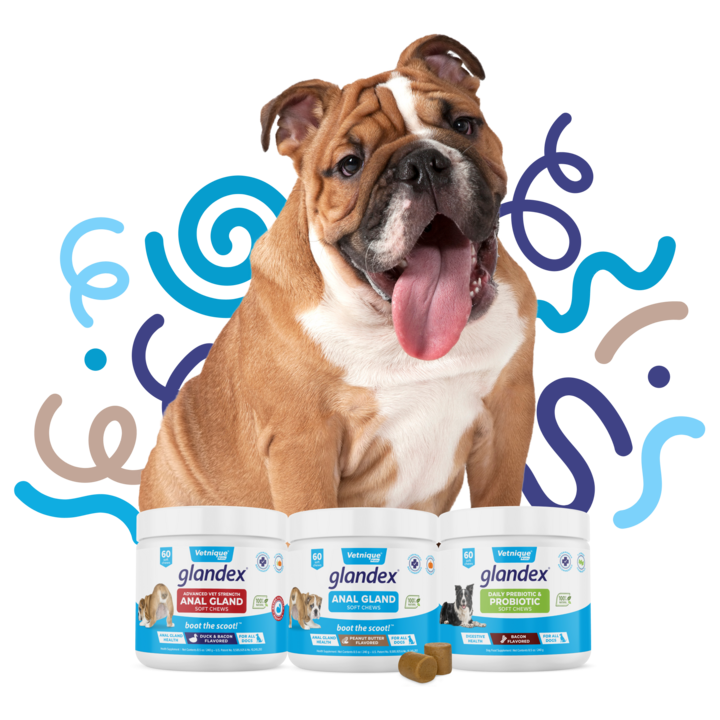 Glandex Probiotic and Anal Gland Soft Chews for Dogs