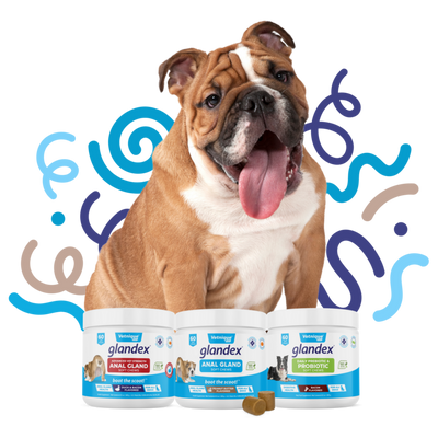 Glandex Probiotic and Anal Gland Soft Chews for Dogs