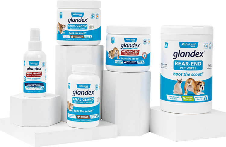  GLANDEX® Anal Gland Support Supplement for Dogs & Cats 