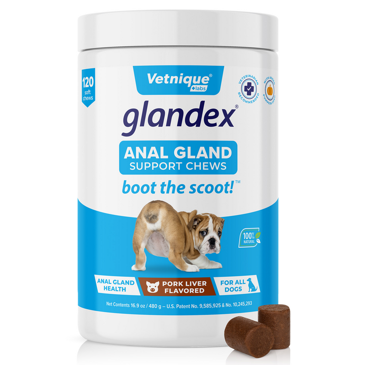 Glandex® Dog Anal Gland Supplement With Pumpkin