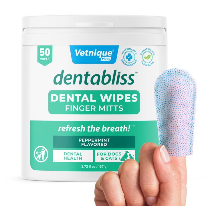 Dentabliss Daily Dental Wipes Finger Mitts 50 Count Jar