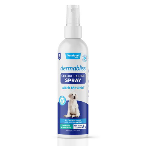 Dermabliss™ Anti-Bacterial & Anti-Fungal Chlorhexidine Antiseptic Spray - 8 oz