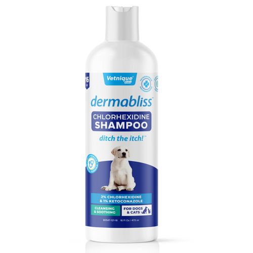 Dermabliss™ Anti-Bacterial & Anti-Fungal Chlorhexidine Shampoo - 16 oz