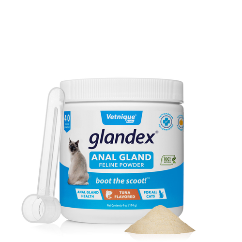 Glandex® Cat Anal Gland Supplement with Pumpkin - 4.0 oz