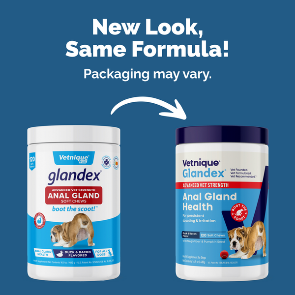 Glandex® Advanced Anal Gland Chews for Dogs