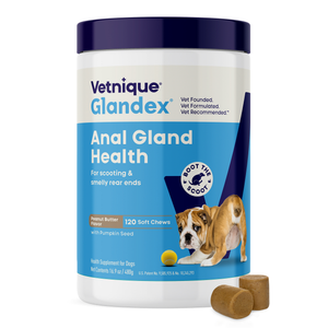 Vetnique Glandex Anal Gland Health supplement for dogs with a blue and white container.