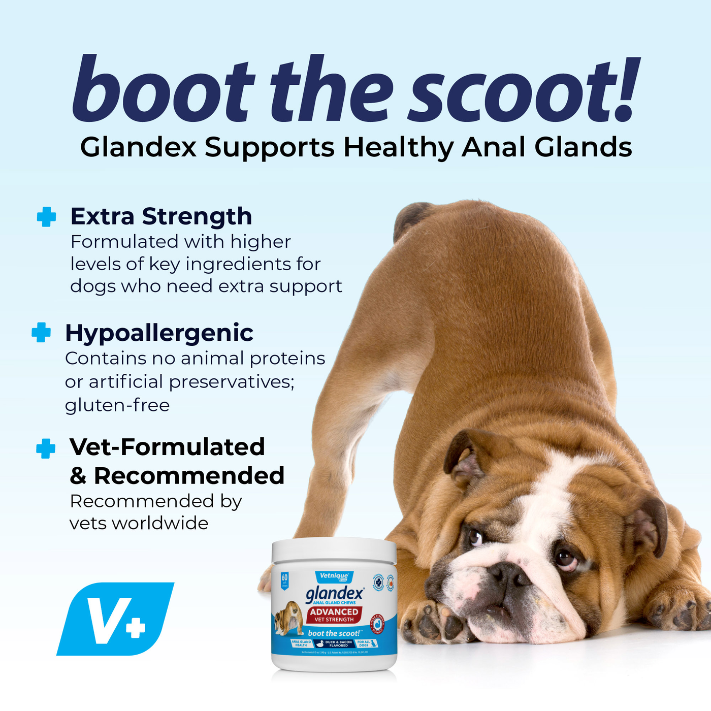 Glandex Vet Strength Vet Strength Supplemetn Chews Features