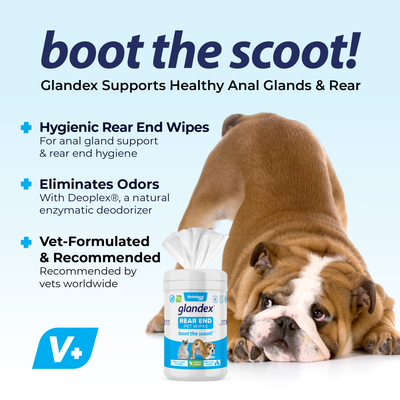 Glandex® Anal Gland Hygienic Pet Wipes - VetPass Free Sample