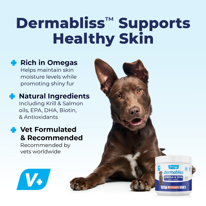 Omega & Skin Soft Chews Supports Healthy Skin & Coat